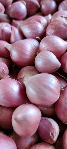 Onion Small (Shallot)